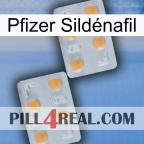 Pfizer Sildénafil 25